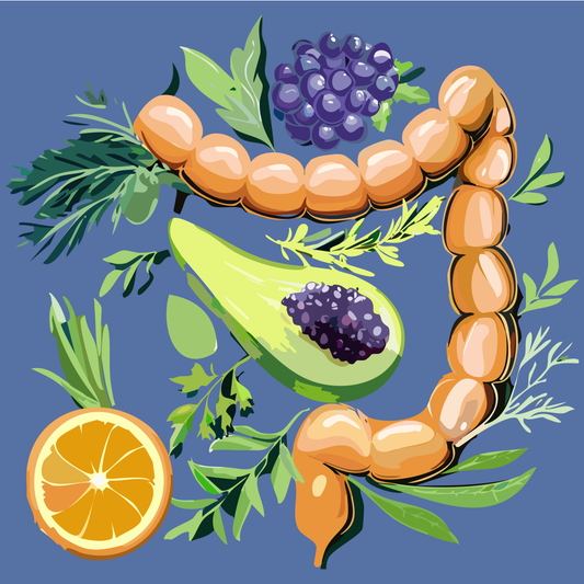 Ilustración de frutas y plantas aromáticas y un intestino