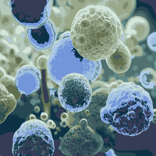 Organismos que conviven en comunidad formando la microbiota intestinal