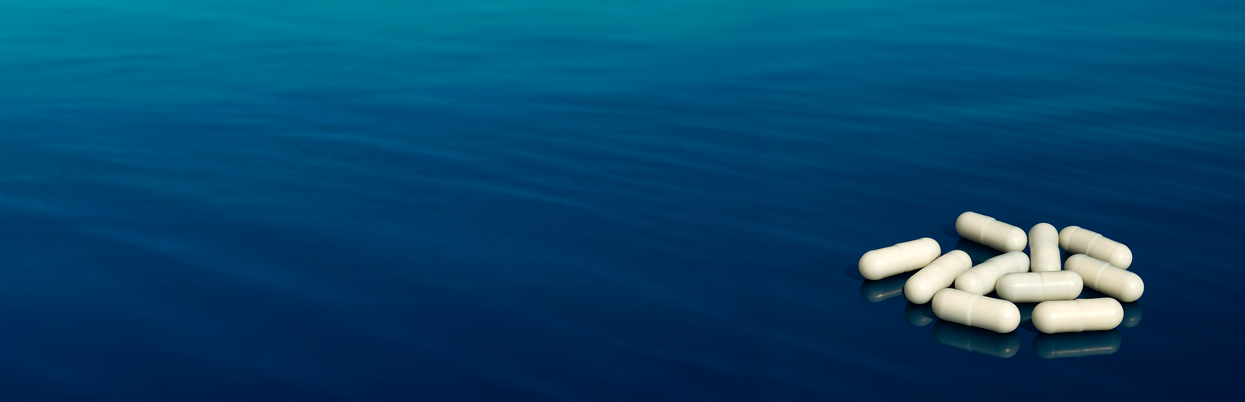 Muchas cápsulas de B-Salicornia en el mar