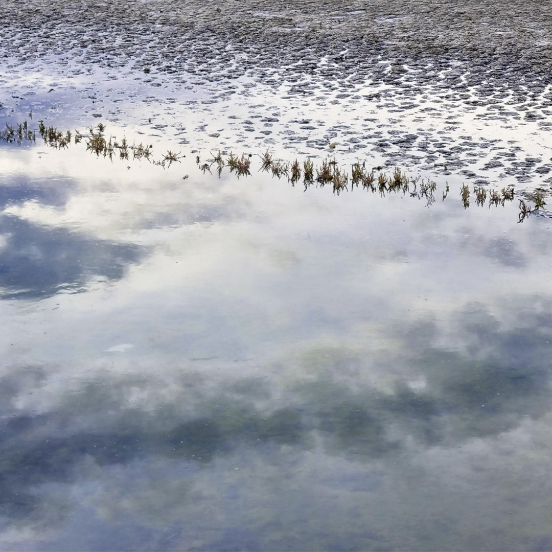 mar salino que refleja el cielo, como metáfora de la necesidad de encontrar sustitutos de la sal como reflejos saludables de esta