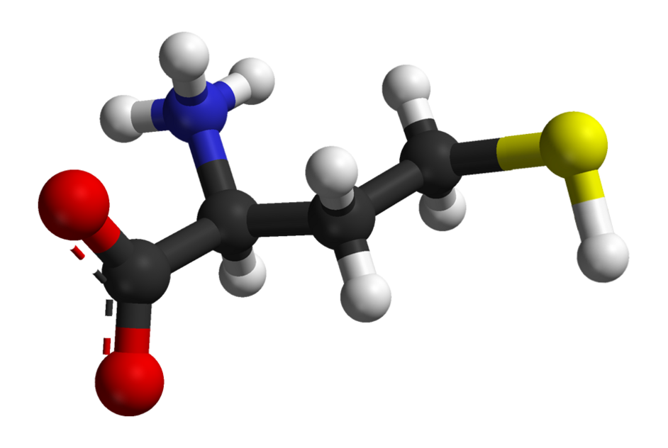 Representación de una molécula de L-Homocisteína