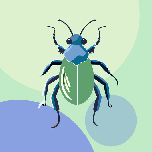 Ilustración de un insecto escarabajo