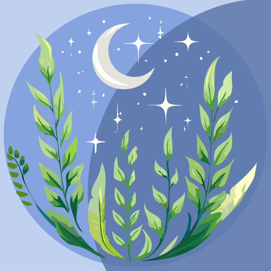 Noche estrellada con una luna creciente, y plantas en la noche.