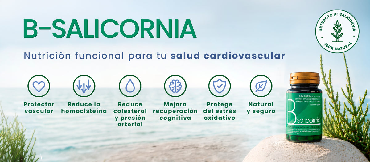 B-Salicornia. Nutrición funcional para tu salud cardiovascular. Complemento alimenticio con extracto de Salicornia 100 % natural. Beneficios destacados: protector vascular, ayuda a reducir la homocisteína, el colesterol y la presión arterial, mejora la recuperación cognitiva, protege frente al estrés oxidativo y es natural y seguro.