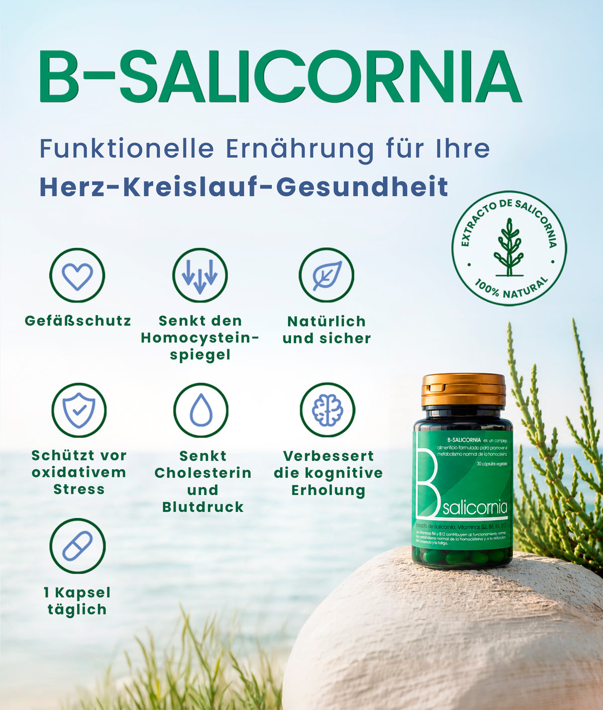 B-Salicornia. Funktionelle Ernährung für Ihre Herz-Kreislauf-Gesundheit. Nahrungsergänzungsmittel mit 100 % natürlichem Salicornia-Extrakt. Wichtige Vorteile: schützt die Gefäße, trägt zur Senkung von Homocystein, Cholesterin und Blutdruck bei, fördert die kognitive Regeneration, schützt vor oxidativem Stress und ist natürlich sowie sicher.