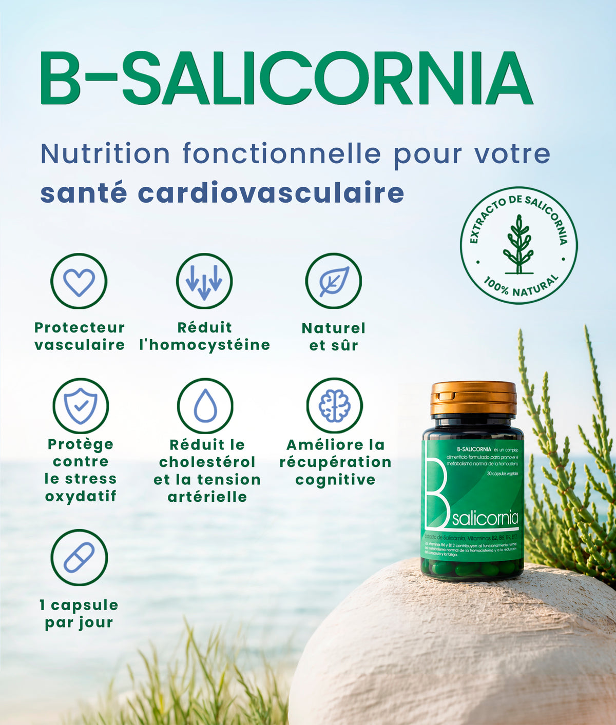 B-Salicornia. Une nutrition fonctionnelle pour votre santé cardiovasculaire. Complément alimentaire à base d'extrait de salicorne 100 % naturel. Principaux bienfaits : protection vasculaire, aide à réduire l'homocystéine, le cholestérol et la tension artérielle, amélioration de la récupération cognitive, protection contre le stress oxydatif ; un produit naturel et sûr.