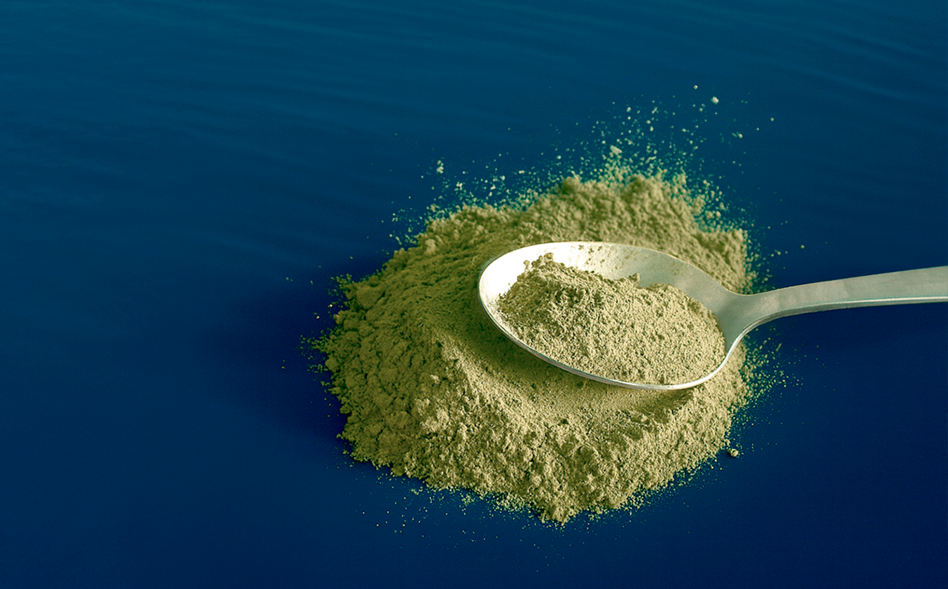 Cucharada de fibra soluble de salicornia