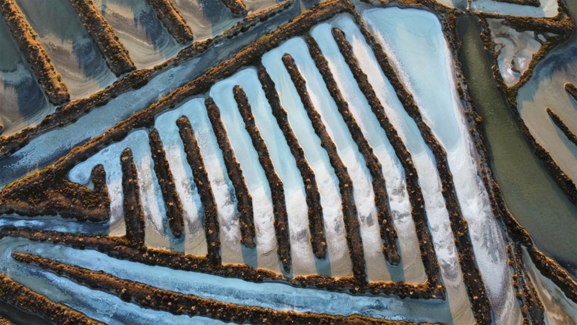 Load video: A drone view of the Santa Bárbara salt marsh through the different areas that form it. From the pine forest to the path that runs along the spout, surrounded by meadows of salicornia and inhabited by a wide variety of birds.