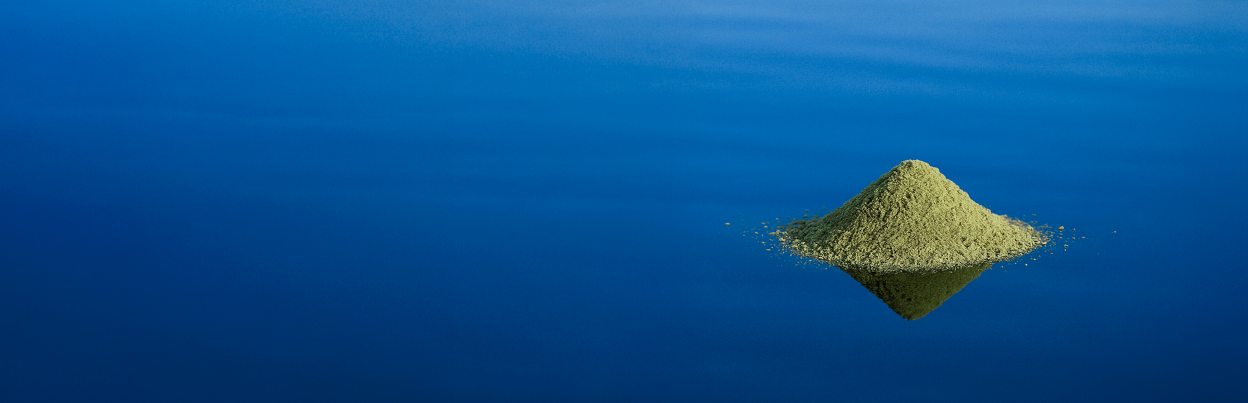 Montón de sal verde de salicornia en el mar
