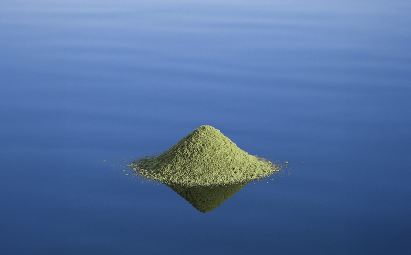 Montaña de sal verde de salicornia, sobre el mar donde se refleja