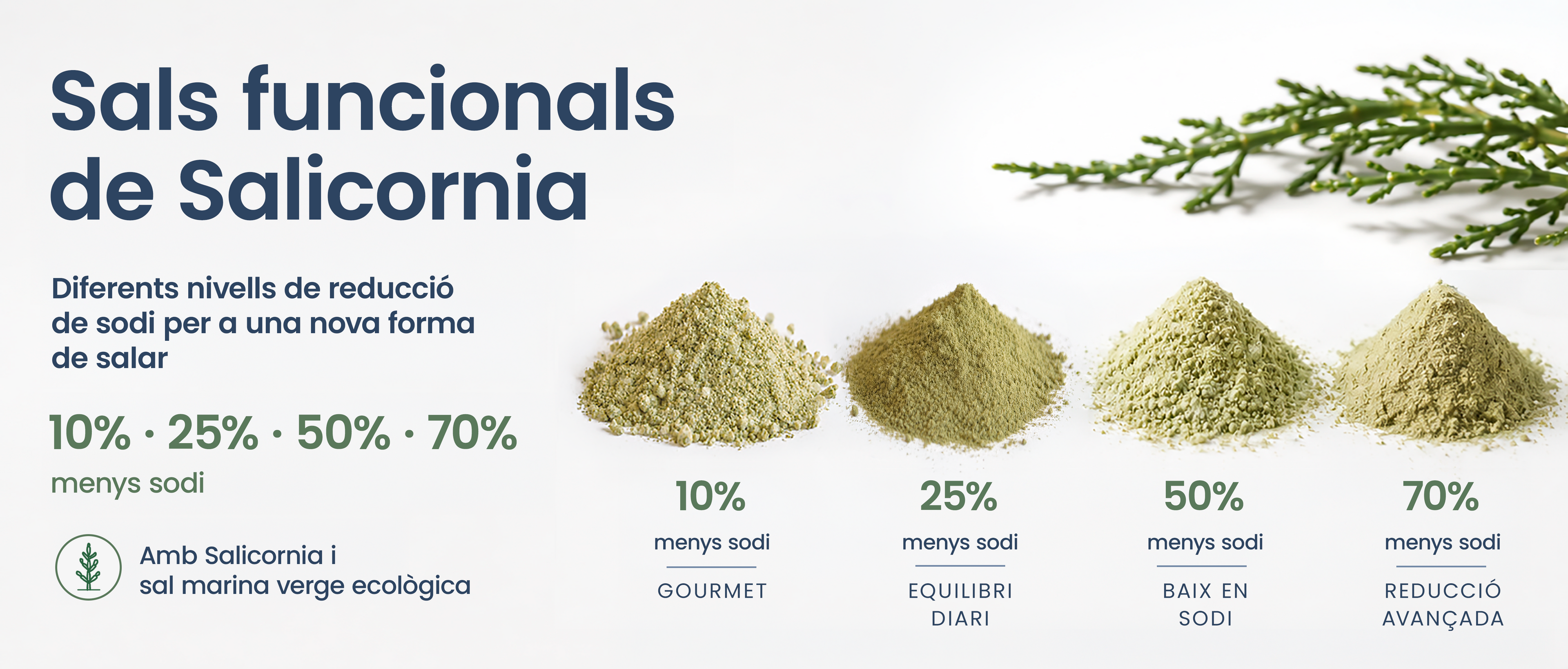 Sals funcionals de Salicornia