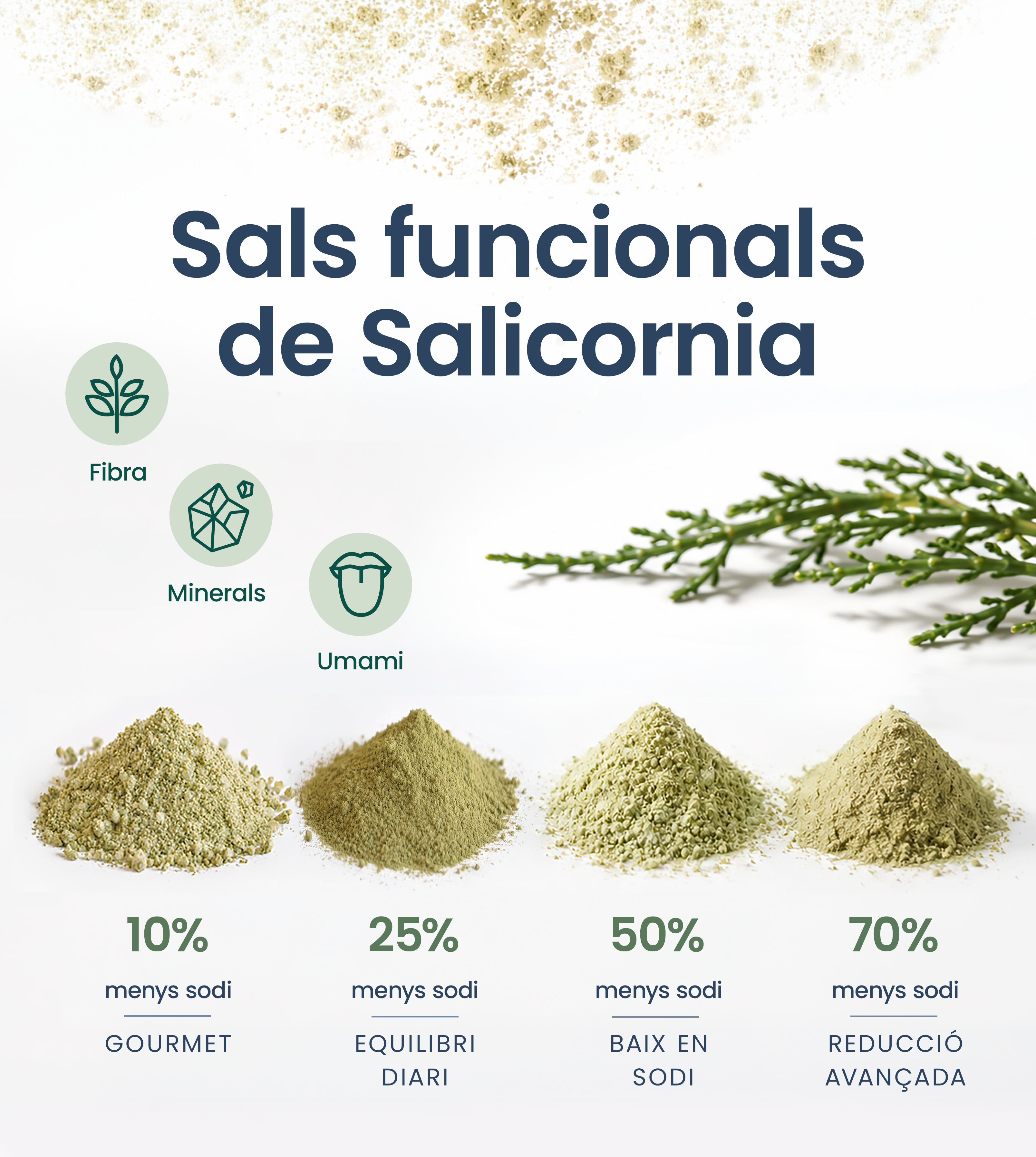 Sals funcionals de salicornia