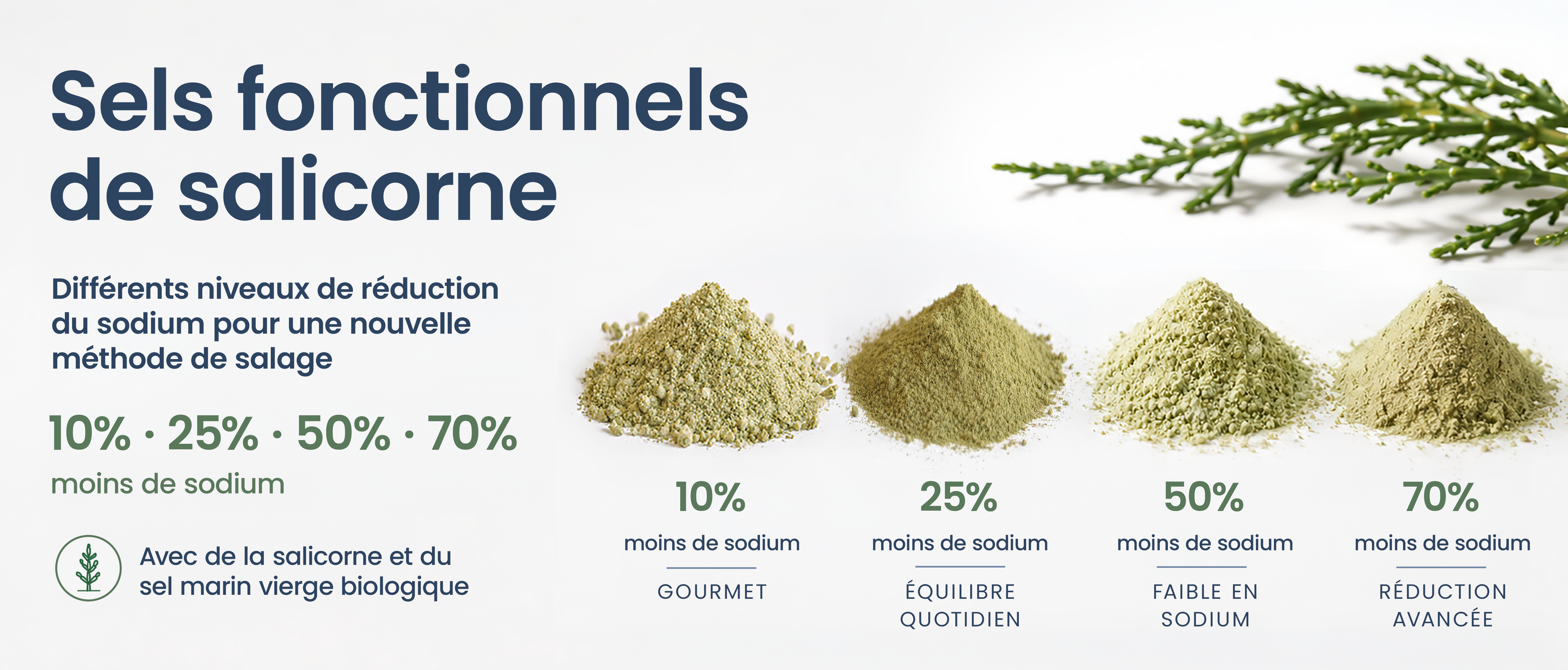 Sels fonctionnels de salicorne