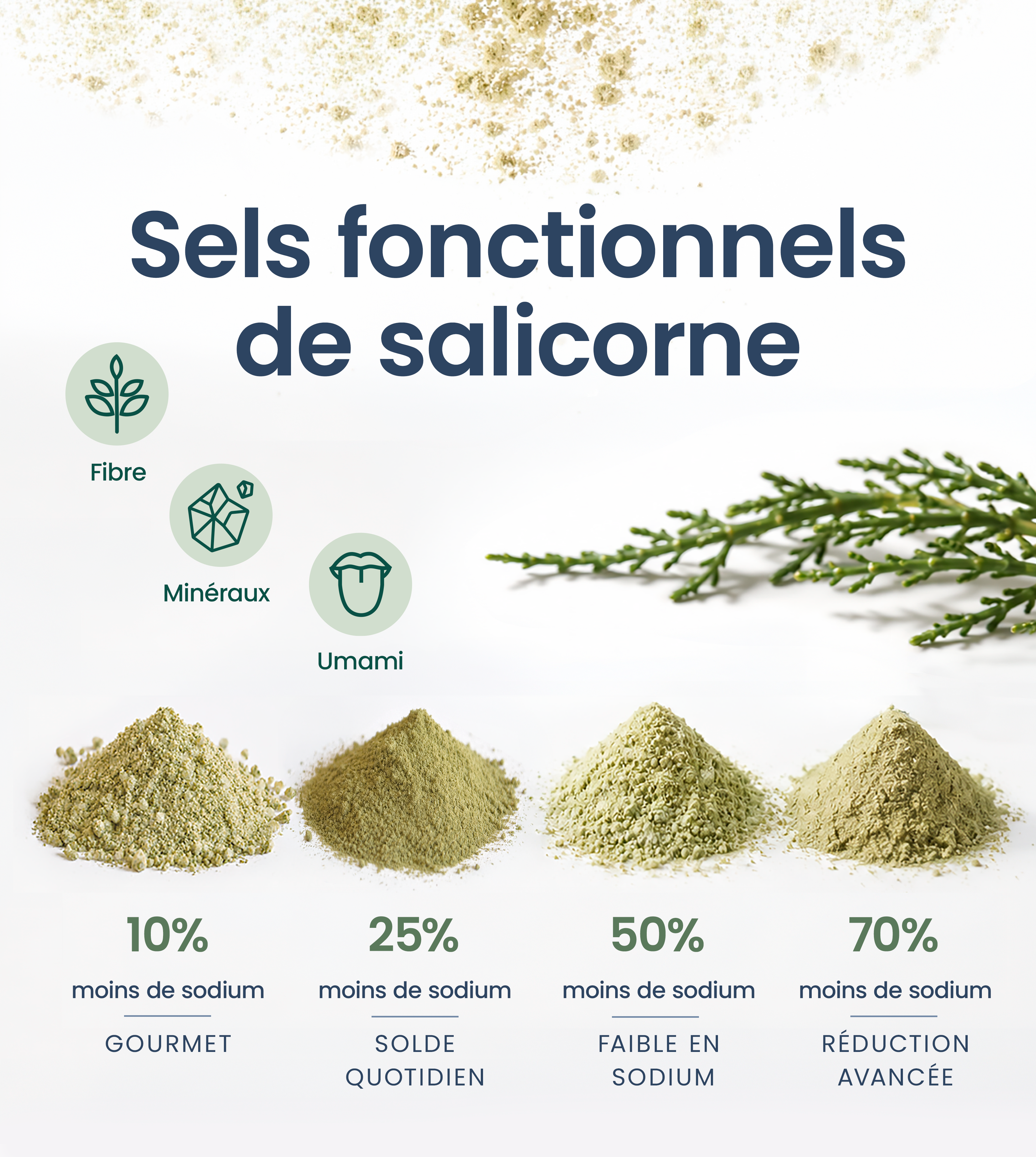 Sels fonctionnels de salicorne